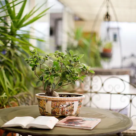 Del Corso Hotel Sorrente